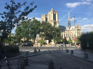 A vista é um cartão-postal de Paris, a Catedral de Notre-Dame